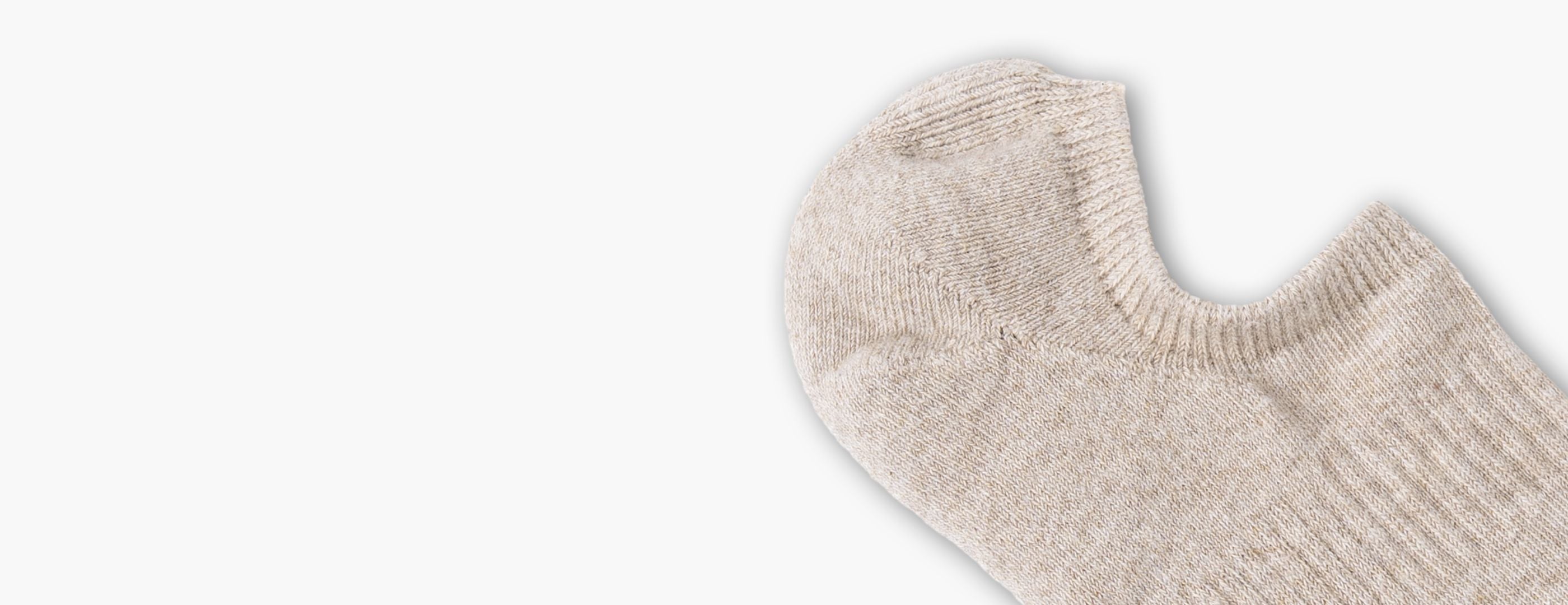 The Classic No Show Sock