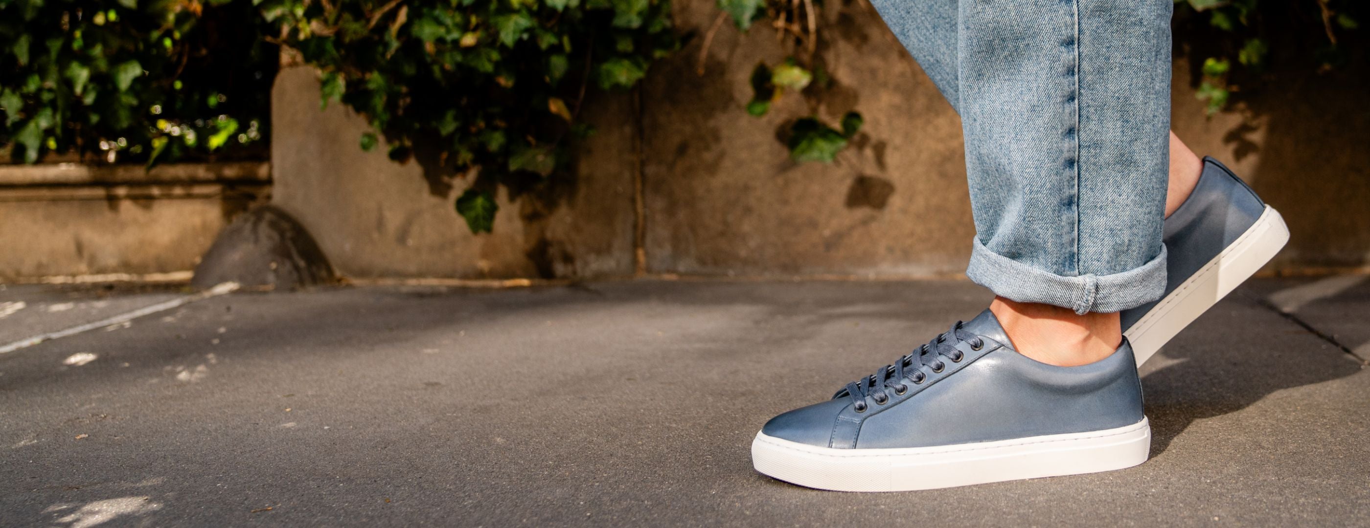 The Premier Low Top